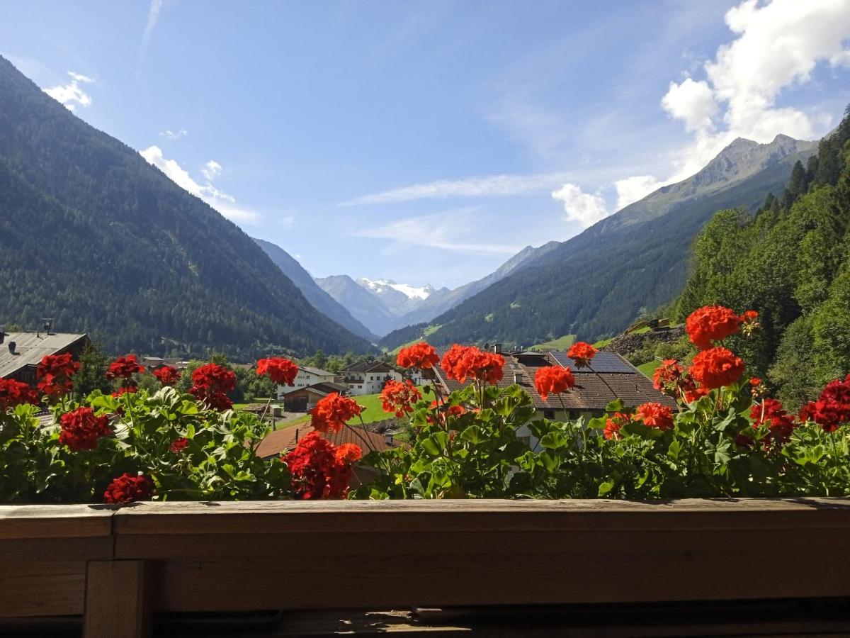 Apartment Fernerblick Neustift im Stubaital Extérieur photo